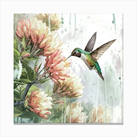 Hummingbird 26 Canvas Print