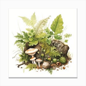 On the forest floor - mushroom art print - mushroom botanical print Canvas Print