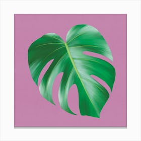 Tropical Charm - Modern Minimalist Monstera Leaf On Pink Canvas Print