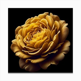 Golden Rose Canvas Print