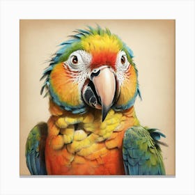 Parrot 48 Canvas Print