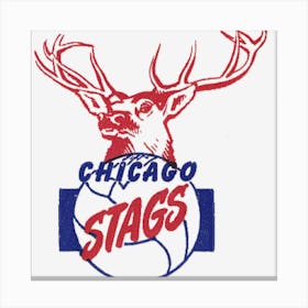 Chicago Stags Canvas Print