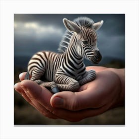 Cute Baby Zebra in Palm Of Hand Canvas Print