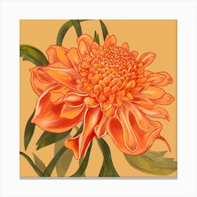 Waratah Orange Detailed Flower Square Canvas Print