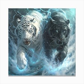 White Tiger And Black Tiger Canvas Print