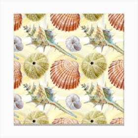 Seashells Canvas Print