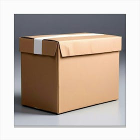 Cardboard Box 10 Canvas Print