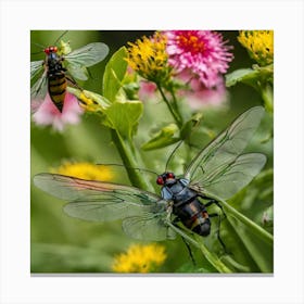 Two Bumblebees Canvas Print