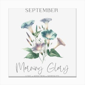 Morningglory September Birthday Canvas Print