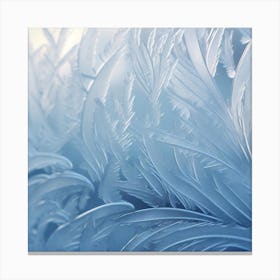 Frosty Feathers 1 Canvas Print