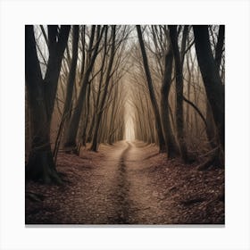 Path Through The Woods Canvas Print