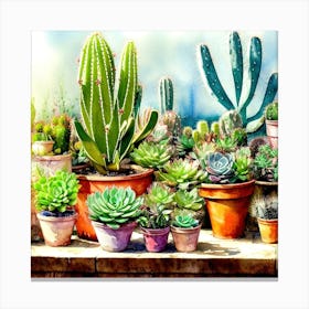 Cacti And Succulents 18 Canvas Print