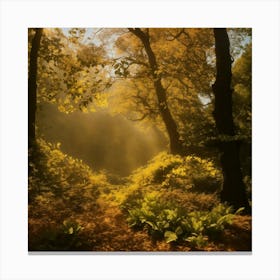 Sunlight In The Forest Canvas Print