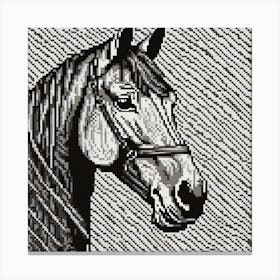 Horse Portrait Canvas Print