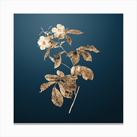Gold Botanical Pink Alpine Roses on Dusk Blue n.2385 Canvas Print