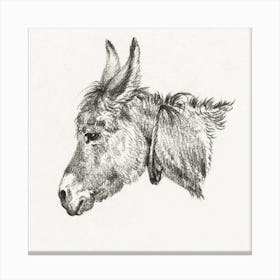 Head Of A Donkey 1, Jean Bernard Canvas Print
