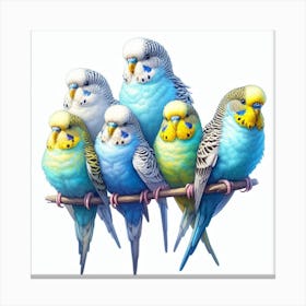 Budgerigars 3 Canvas Print