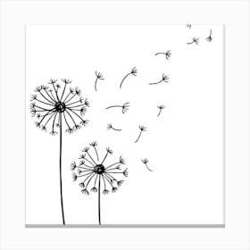 Dandelion Canvas Print