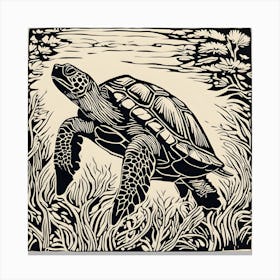 Turtle 1 Canvas Print
