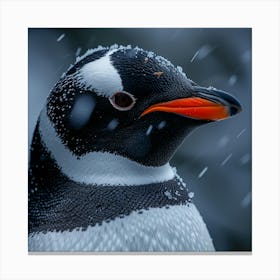 Penguin In The Snow 1 Canvas Print