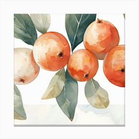 Pomegranate Canvas Print