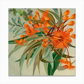 Orange Eucalypt Flowers And Leaves Square Canvas Print