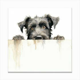 Schnauzer 7 Canvas Print