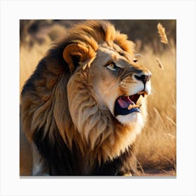 Lion Roaring Canvas Print