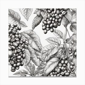 Coffee Beans 209 Canvas Print