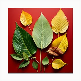 Autumn Leaves, Different Types Of Leaves And Their Textures art print 1 Canvas Print