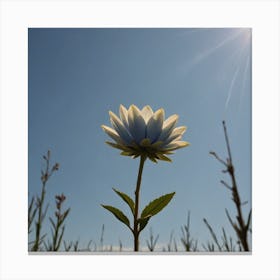 Single Flower In Field Canvas Print