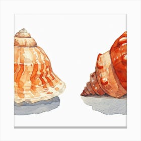 Two Seashells Canvas Print