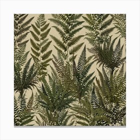 Ferns 10 Canvas Print