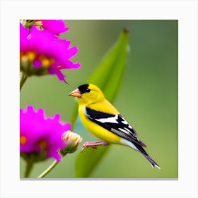 Goldfinch 11 Canvas Print