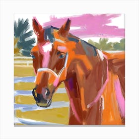 Thoroughbred Horse 01 Canvas Print