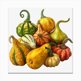 Pumpkins And Gourds Canvas Print