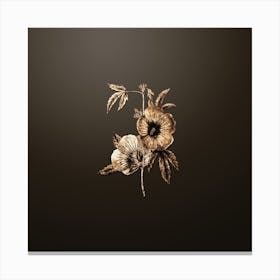Gold Botanical Mr. Lindley's Hibiscus on Chocolate Brown n.1173 Canvas Print