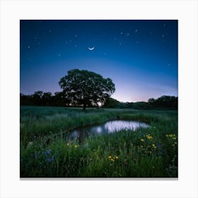 Serene Meadow Moonlit Sky Illustrating Mystery Of The Night Celestial Luminance Filtering Through Canvas Print