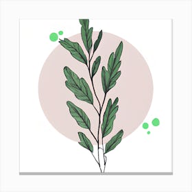 Leafy (1) Canvas Print