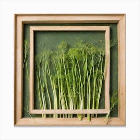 Dill frame 1 Canvas Print