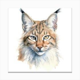 Island Lynx Cat Portrait 1 Canvas Print