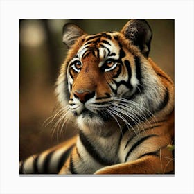 Tiger Canvas Print