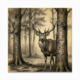 Deer In The Woods 13 Canvas Print