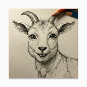 Goat Drawing 11 Canvas Print