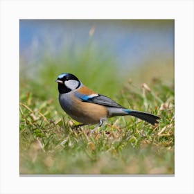 Blue Tit 60 Canvas Print