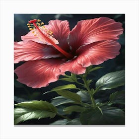 Hibiscus Flower 1 Canvas Print