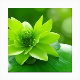 Dreamshaper V7 Green Flower In Bloom Season 0 Canvas Print