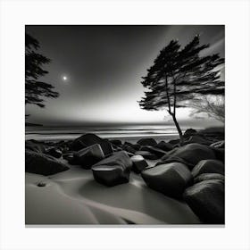 Black And White Photography 19 Canvas Print