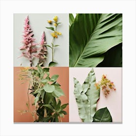 Collage Of Plants Canvas Print