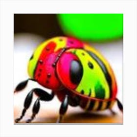 Colorful Beetle Canvas Print